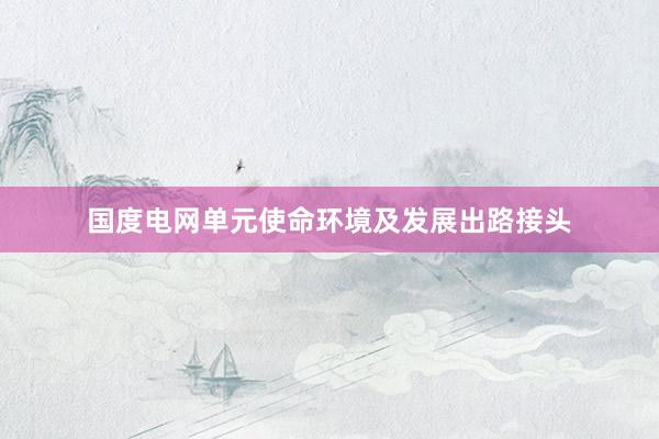 国度电网单元使命环境及发展出路接头