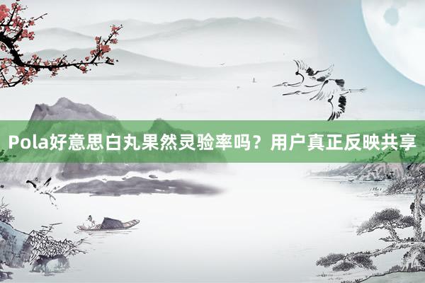 Pola好意思白丸果然灵验率吗？用户真正反映共享